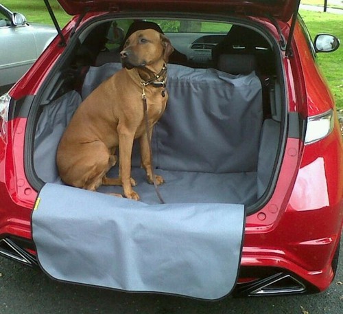 Passat estate car boot - passat,